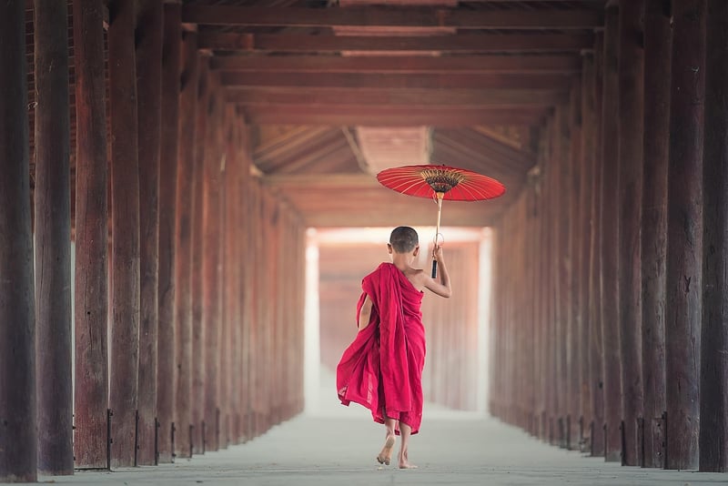 Traveler in Asia
